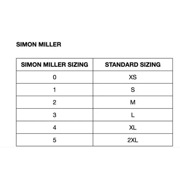 Simon Miller Junjo Dress embellished bodice LIMONECELLO SIZE 8 NWT $595 msrp - Picture 8 of 15